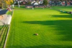 Husqvarna ceora 546 epos prof <50.000m² - Afbeelding 5